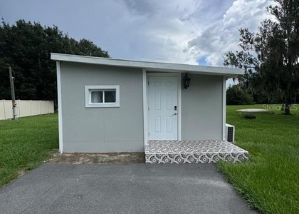 20847 Lake Patience Road - Photo 1
