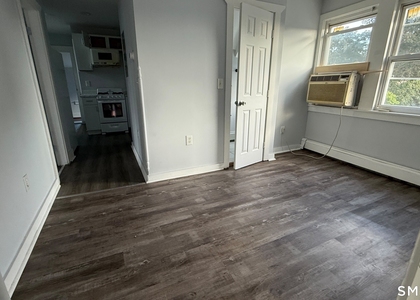 100 Horace Street - Photo 1