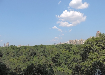 40 Central Park S - Photo 1