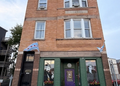 1605 S Blue Island Avenue - Photo 1