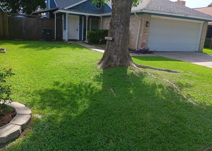 23215 Tree House Lane - Photo 1