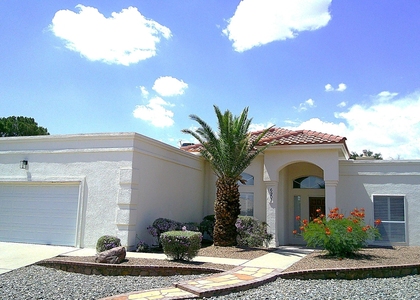 6901 Mineral Ridge Drive - Photo 1