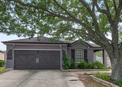 923 Saginaw Bay Court - Photo 1
