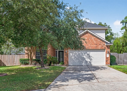 1003 Alp Springs Court - Photo 1