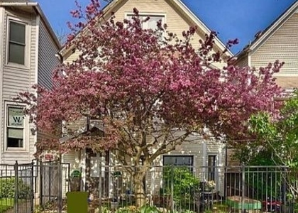 3745 N Seminary Avenue - Photo 1