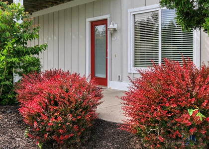 320 S Blue Star Highway - Photo 1