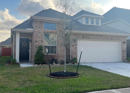 2923 Painted Sunrise Trail - Photo 1
