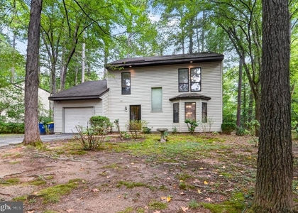 44550 White Pine Court - Photo 1