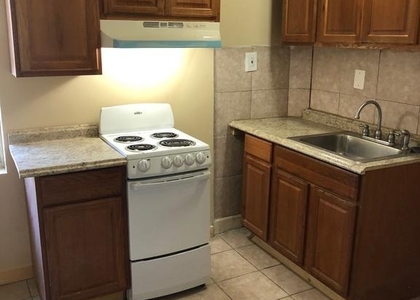4532 Greene Street - Photo 1