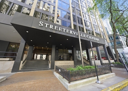 233 E Erie Street - Photo 1