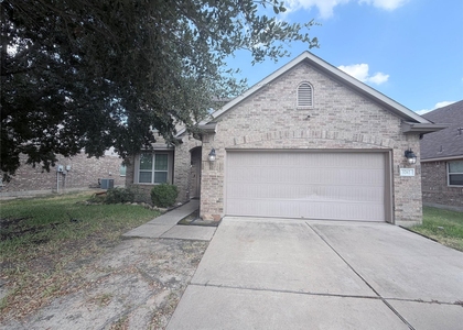 3202 Palacious Falls Lane - Photo 1