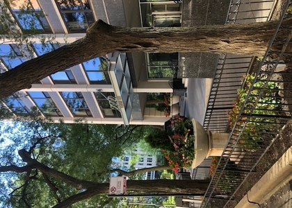 222 E Pearson Street - Photo 1
