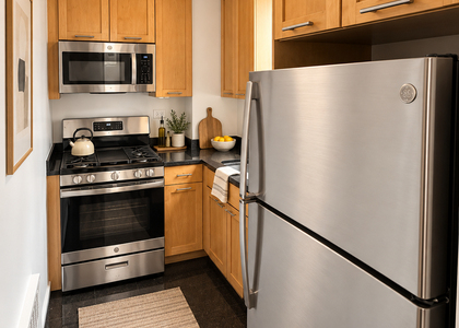 333 East 49th Street - Photo 1