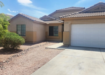 11229 W Chase Drive - Photo 1
