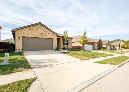 817 Cedar Elm Drive - Photo 1
