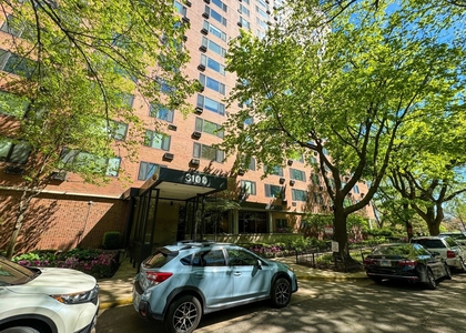 3100 N Lake Shore Drive - Photo 1