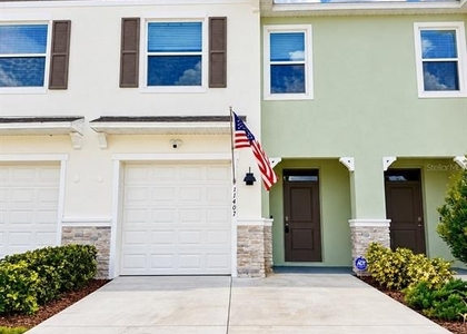11407 Velvet Apricot Drive - Photo 1