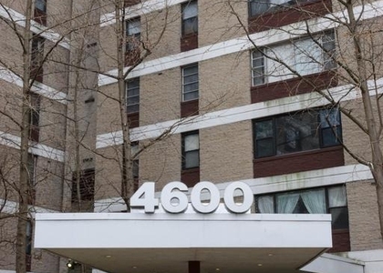 4600 Duke Street - Photo 1