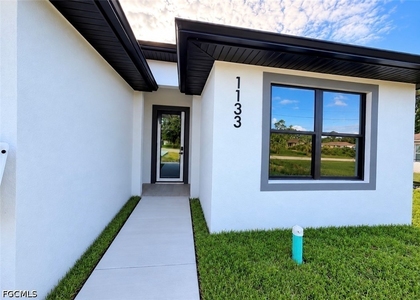 1133 Albany Avenue - Photo 1