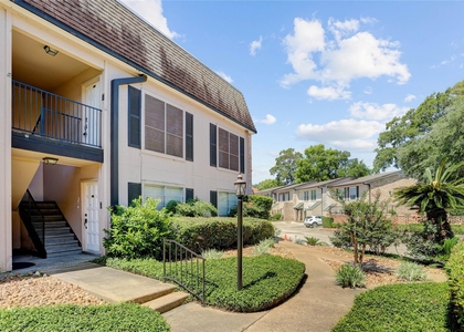 1807 Stoney Brook Drive - Photo 1