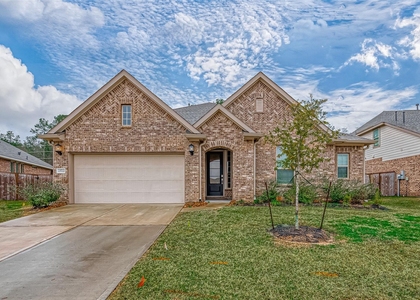 23722 Canolo Grove Lane - Photo 1