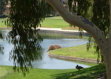 11 Via Pausa - Photo 1