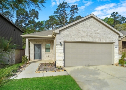 10429 Pineland Drive - Photo 1