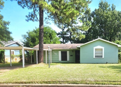 7721 Bigwood Street - Photo 1