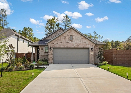 16514 Cub Creek Court - Photo 1