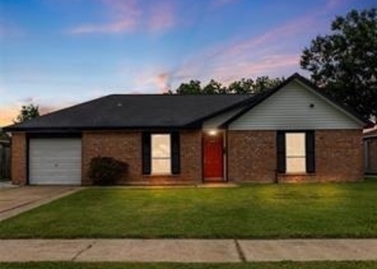 11939 Flushing Meadows Drive - Photo 1