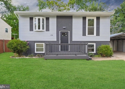 1204 Indo Place - Photo 1