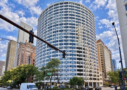 1150 N Lake Shore Drive - Photo 1