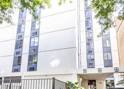 1339 N Dearborn Street - Photo 1