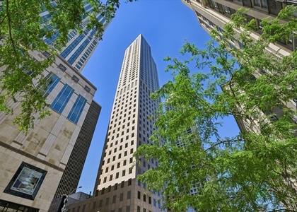 950 N Michigan Avenue - Photo 1