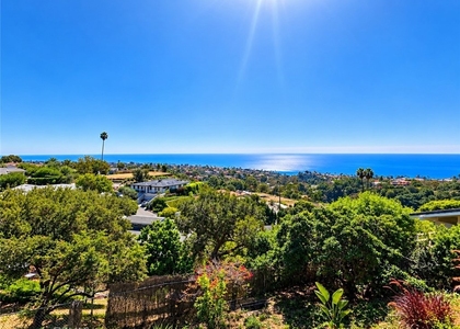 1156 Las Pulgas - Photo 1