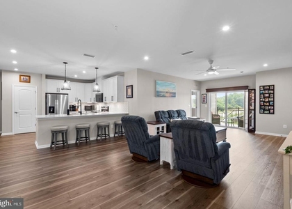 13210 Petrel Street - Photo 1