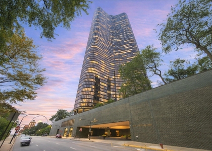 505 N Lake Shore Drive - Photo 1