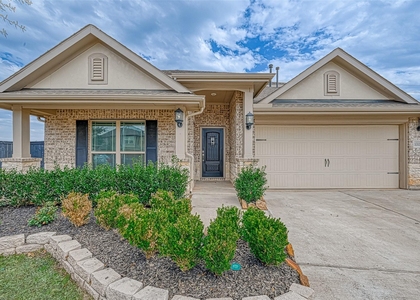 1003 Grey Dusk Court - Photo 1
