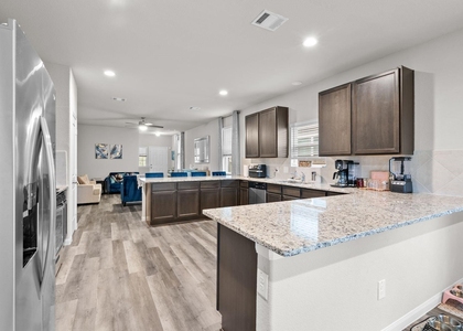 24926 Bastiani Canvas Lane - Photo 1