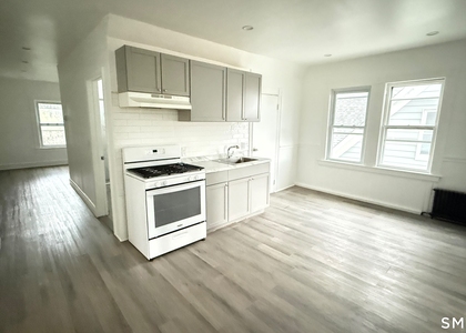 163 Deacon Street - Photo 1