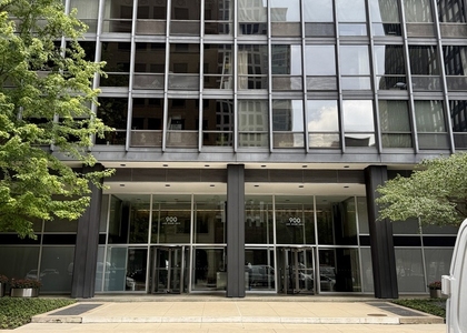 900 N Lake Shore Drive - Photo 1
