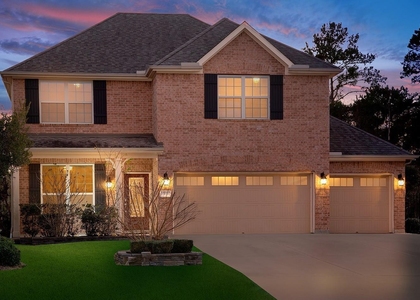 43 Butternut Grove Place - Photo 1