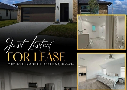 3902 Itzle Island Court - Photo 1
