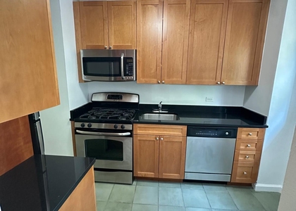 350 West 51st Street - Photo 1