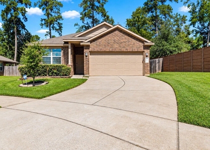 11502 Castle Nugent Court - Photo 1