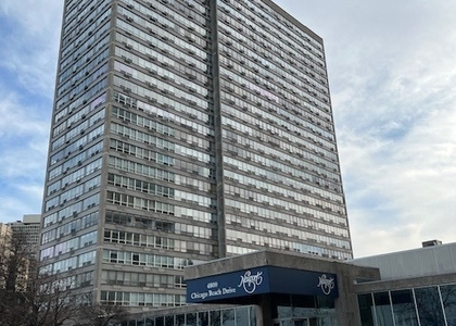 4800 S Chicago Beach Drive - Photo 1