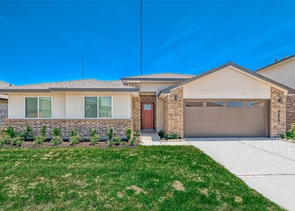 819 Dhalia Petal - Photo 1