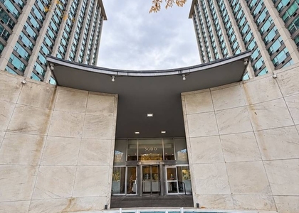 3600 N Lake Shore Drive - Photo 1