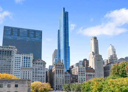 60 E Monroe Street - Photo 1