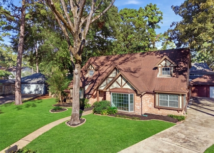 12806 Forest Meadow Drive - Photo 1